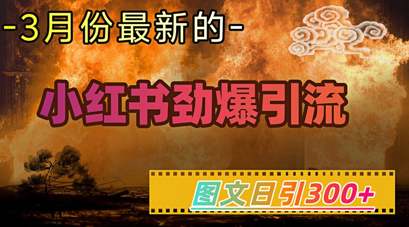 小红书超劲爆引流手段，图文日引300+轻松变现1W-初八网创