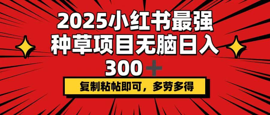 （14375期）2025小红书最强种草项目，无脑日入300+，复制粘帖即可，多劳多得-初八网创