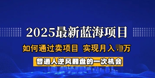 2025蓝海项目，普通人如何通过卖项目，实现月入过W，全过程【揭秘】-初八网创