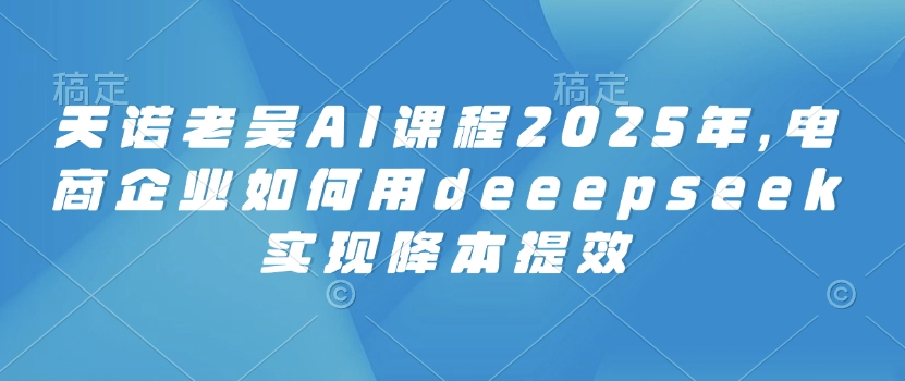 天诺老吴AI课程2025年，电商企业如何用deeepseek实现降本提效-初八网创