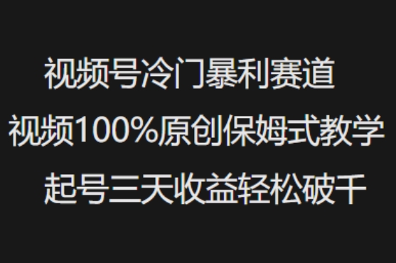 视频号冷门暴利赛道视频100%原创保姆式教学起号三天收益轻松破千-初八网创